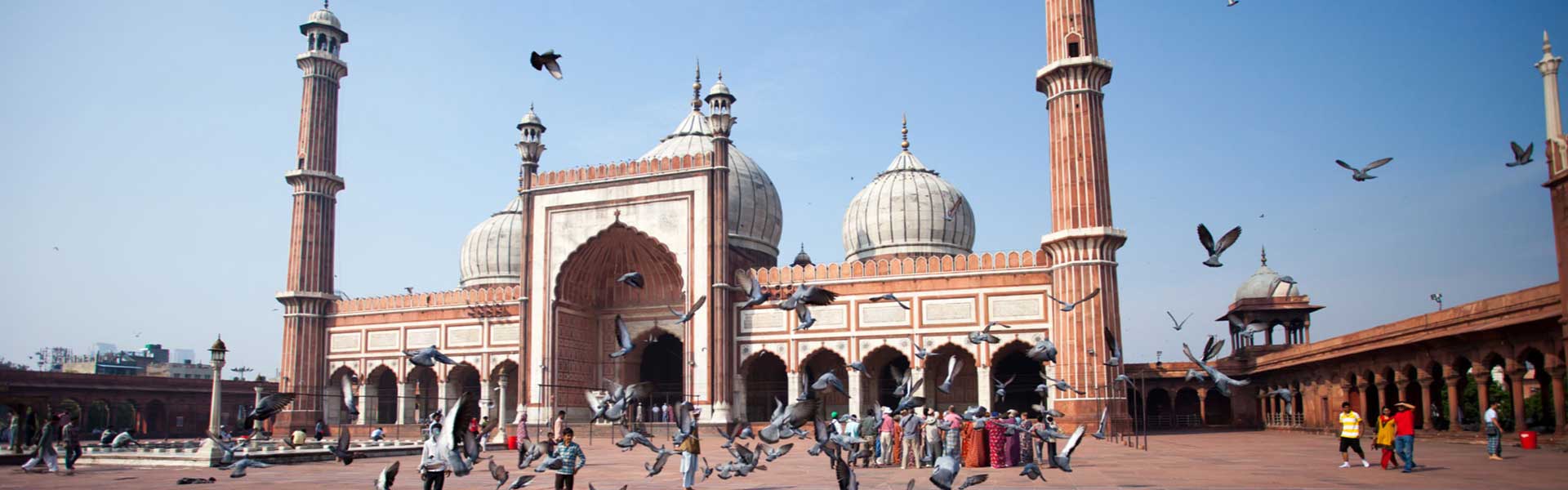 Old and New Delhi Private Day Tour