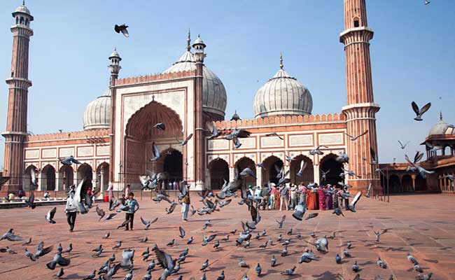 Old and New Delhi Private Day Tour