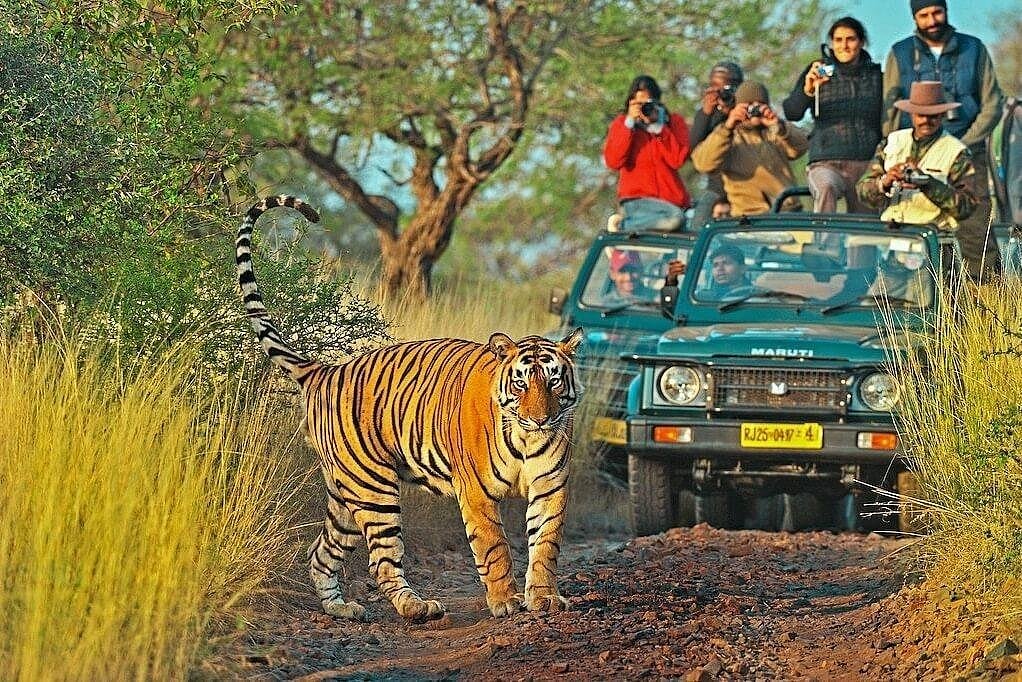 Golden Triangle with Wildlife Tour Package